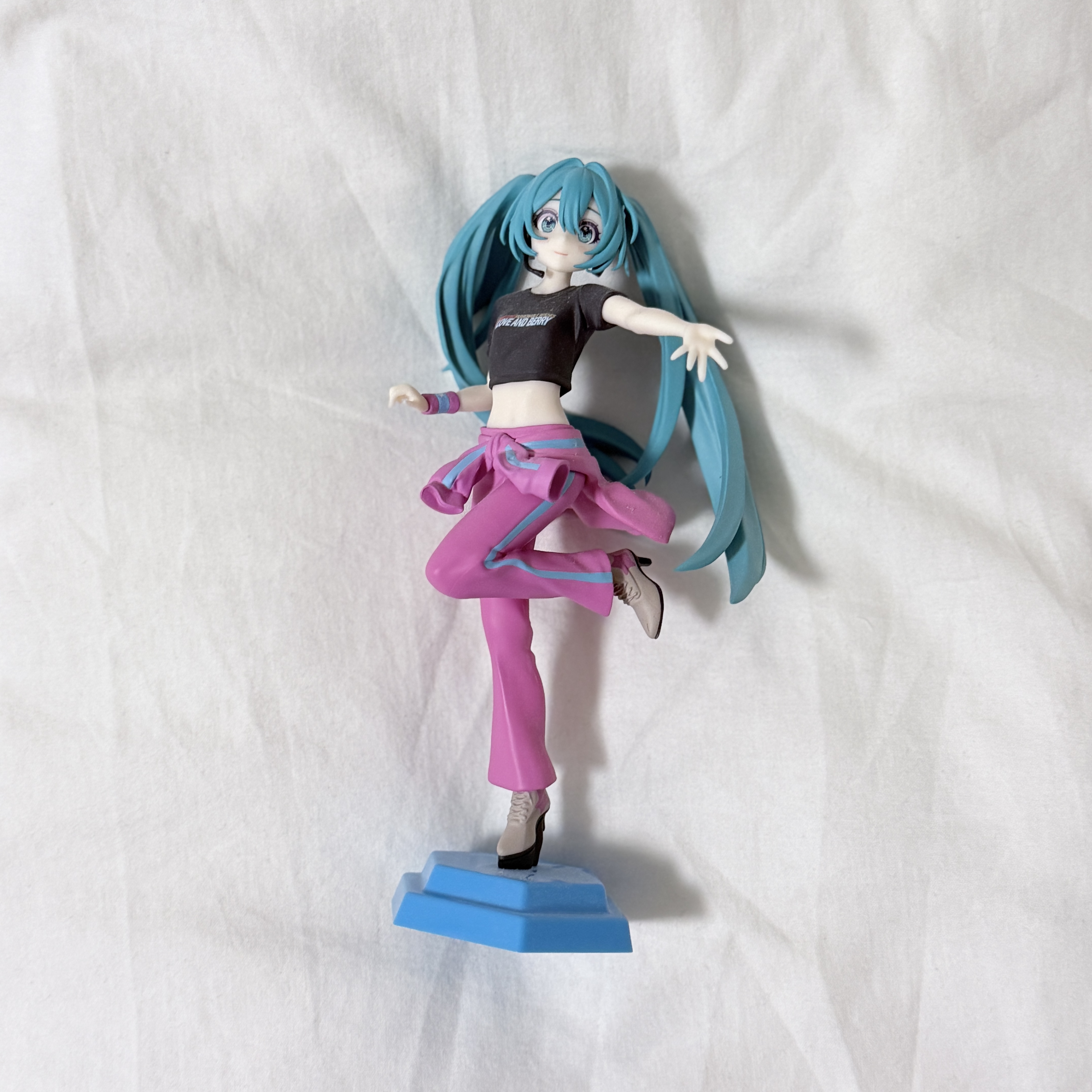 This is a photo of Miku from a front view.